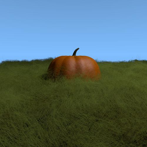 Pumpkin In Grass preview image